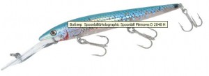 holographic-spoonbill-minnows-d-2048-h