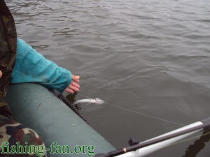 рыбалка в Украине