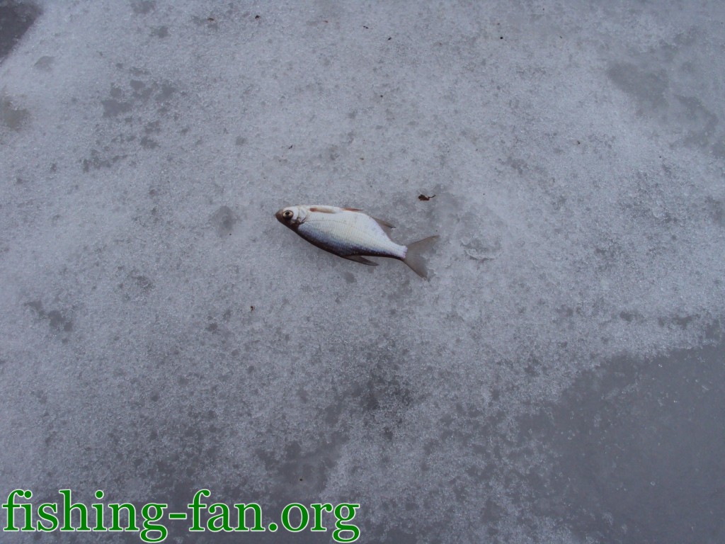 рыбалка зимой в Украине