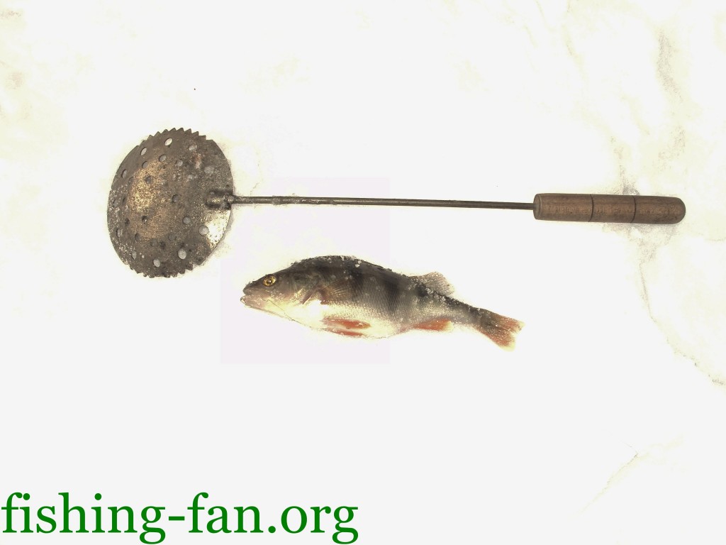 зимняя рыбалка на окуня