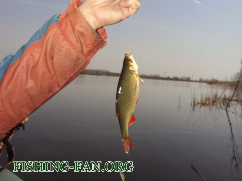 рыбалка на спиннинг весной в Донецкой области