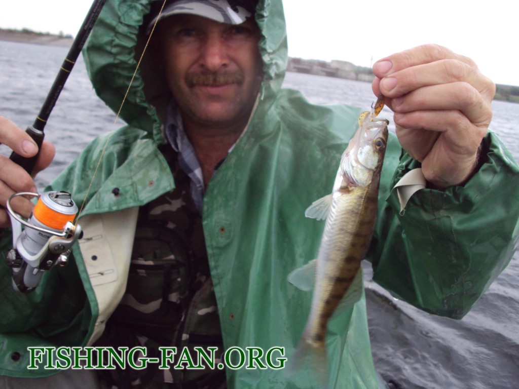рыбалка летом в дождь