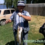 рыбалка на спиннинг в Донецкой области