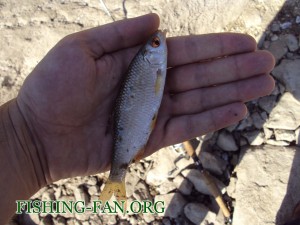 рыбалка осенью на Стыле Дзержинское водохранилище