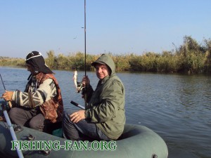 ловля окуня на спиннинг осенью в Донецкой области