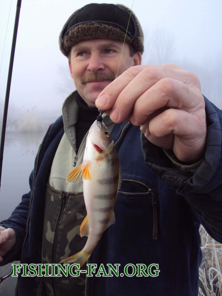 рыбалка зимой на спиннинг на речке в Донецкой области
