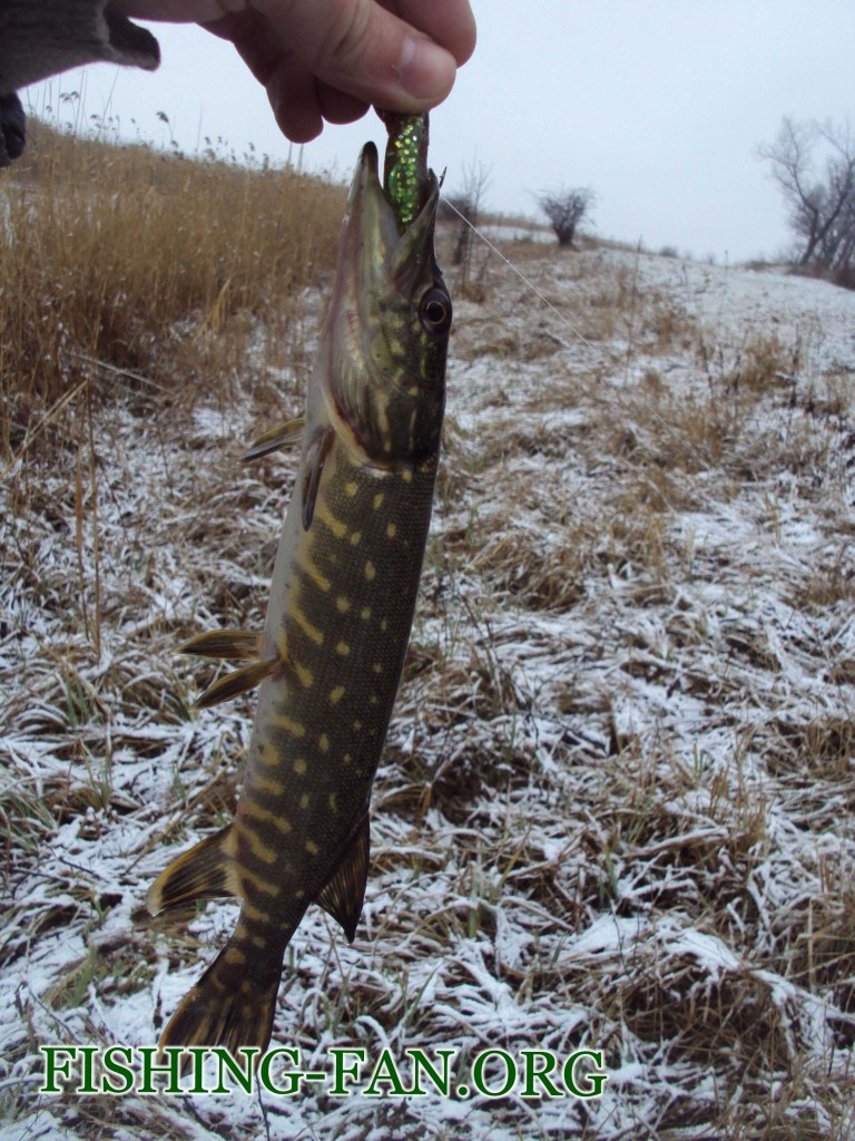 ловля щуки зимой в Донецкой области