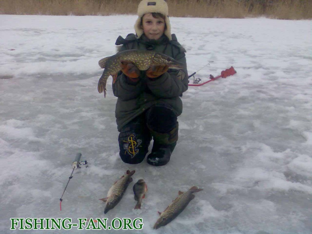 зимняя рыбалка щука на балансир в Донецкой области