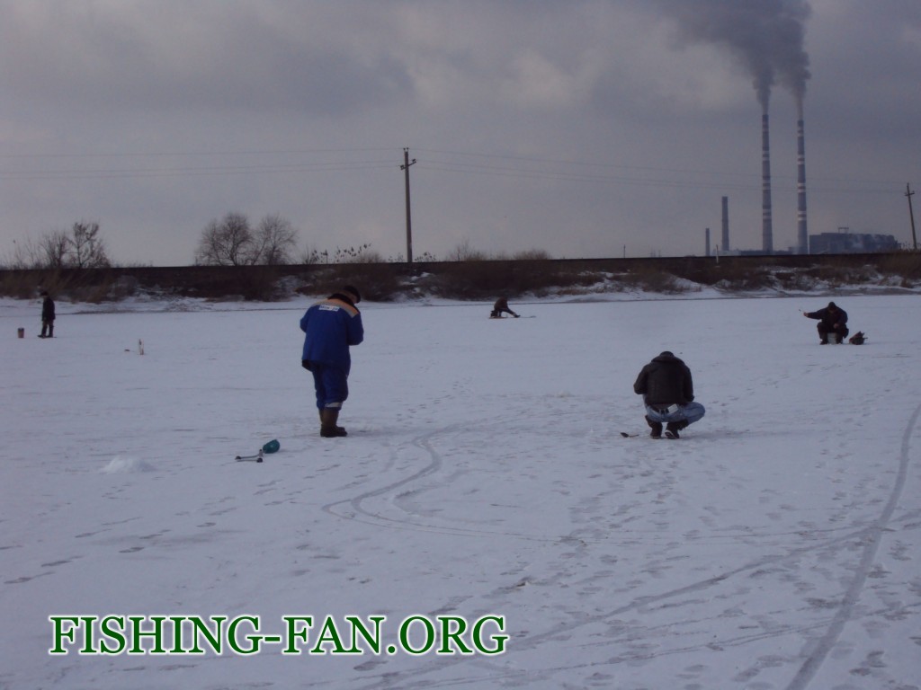 Ловля красноперки зимой на Кураховском водохранилище.