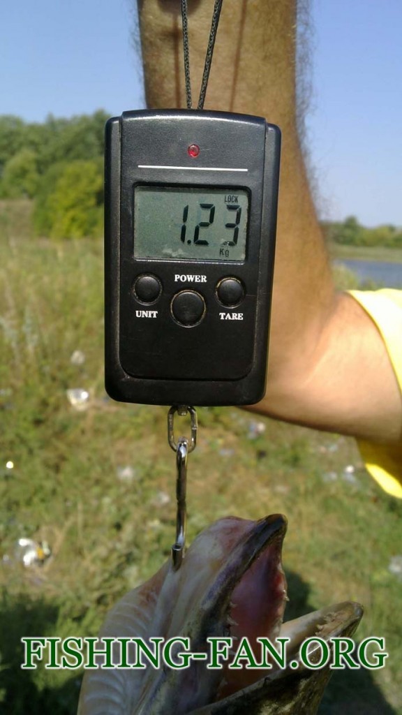 рыбалка летом ловля щукии на спиннинг в Донецкой области